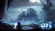 Ori and The Will Of The Wisps, Nintendo Switch цена и информация | Kompiuteriniai žaidimai | pigu.lt