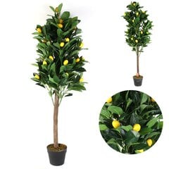 Декоративное Лимонное дерево в черном горшке 120см цена и информация | Искусственные цветы | pigu.lt