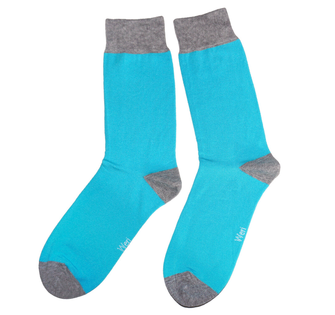 Vyriškos kojinės Smooth solid color, mėlynos kaina ir informacija | Vyriškos kojinės | pigu.lt