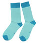 Vyriškos kojinės Smooth solid color, mėlynos kaina ir informacija | Vyriškos kojinės | pigu.lt