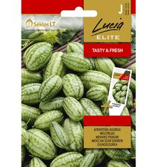 Огурцы африканские Lucia Elite 20 шт. семян цена и информация | Семена овощей, ягод | pigu.lt