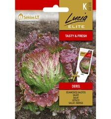 Salotos sėjamosios Derel Lucia Elite 1,0 g kaina ir informacija | Daržovių, uogų sėklos | pigu.lt