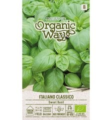 Bazilikai kvap. Italiano Classico Organic Way 0,5 g kaina ir informacija | Prieskonių sėklos | pigu.lt