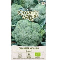 Brokoliai Calabrese Natalino Organic Way 1,0 g kaina ir informacija | Daržovių, uogų sėklos | pigu.lt