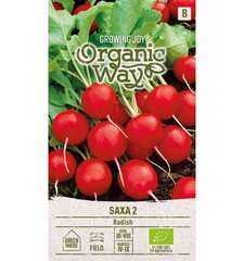 Ridikėliai valgomieji Saxa 2 Organic Way 2,0 g kaina ir informacija | Daržovių, uogų sėklos | pigu.lt