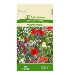 Цветочная смесь Wild Flowers Žalia stotelė 10,0 г цена и информация | Семена цветов | pigu.lt