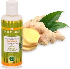 Plaukų kondicionierius Orientana Ginger and Lemongrass, 210 ml kaina ir informacija | Balzamai, kondicionieriai | pigu.lt