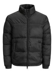 Striukė vyrams Jack&Jones Jjdrew Puffer Collar LTN 12173866 kaina ir informacija | Vyriškos striukės | pigu.lt