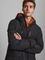 Striukė vyrams Jack&Jones Jcohenry Tech Parka 12175528 цена и информация | Vyriškos striukės | pigu.lt