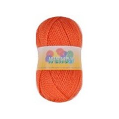 Пряжа Elian Wendy 100 г, цвет 115 цена и информация | Принадлежности для вязания | pigu.lt