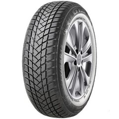 GT Radial Winterpro 2 215/50R17 95V цена и информация | Зимняя резина | pigu.lt