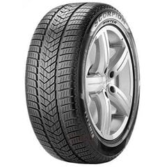 Pirelli Sc winter 225/55R19 99H kaina ir informacija | Žieminės padangos | pigu.lt