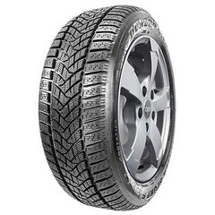 Dunlop Wi sp 5 suvxl 255/50R20 109V цена и информация | Зимние шины | pigu.lt