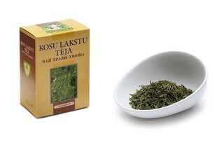 Чай из травы хвоща Dunduri, 25 г цена и информация | Чай | pigu.lt