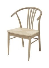 2-jų kėdžių komplektas Actona York, baltas kaina ir informacija | Virtuvės ir valgomojo kėdės | pigu.lt