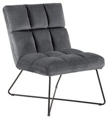 Обеденный стул Alba, темно-серый цена и информация | Стулья для кухни и столовой | pigu.lt