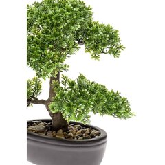 Dirbtinis fikusas Emerald, mini bonsai medis, žalias, 32cm, 420002 kaina ir informacija | Dirbtinės gėlės | pigu.lt