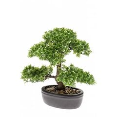 Dirbtinis fikusas Emerald, mini bonsai medis, žalias, 32cm, 420002 цена и информация | Искусственные цветы | pigu.lt