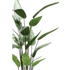 Dirbtinis augalas helikonija Emerald, 125cm, 419837 цена и информация | Искусственные цветы | pigu.lt