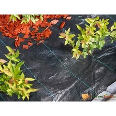 Пленка от сорняков Nature (1 x 50 м) цена и информация | Садовые инструменты | pigu.lt