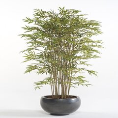 Dirbtinis japoniškas bambukas Emerald, 150cm kaina ir informacija | Dirbtinės gėlės | pigu.lt