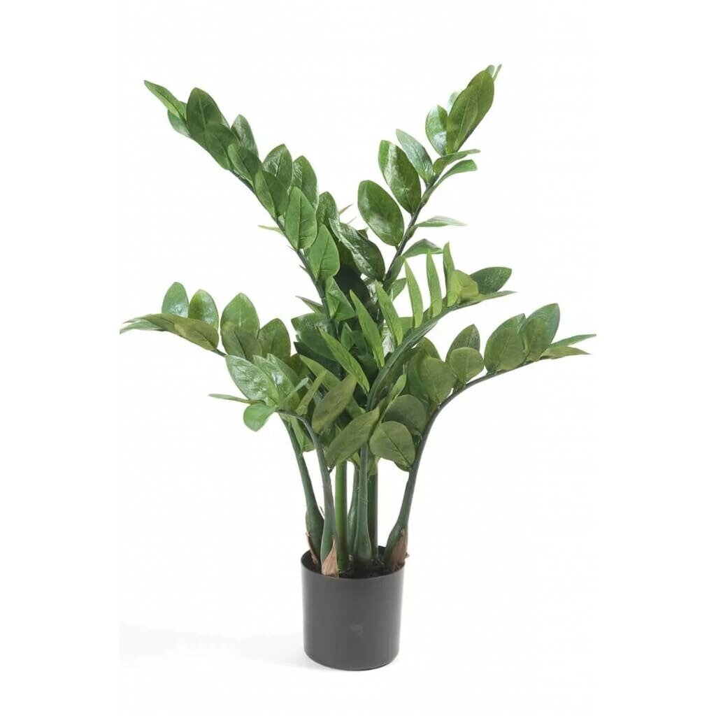 Emerald, dirbtinis augalas, 70 cm kaina ir informacija | Dirbtinės gėlės | pigu.lt