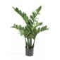 Emerald, dirbtinis augalas, 70 cm kaina ir informacija | Dirbtinės gėlės | pigu.lt