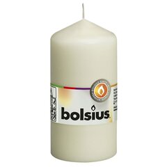 Свечи Bolsius, 10vnt. цена и информация | Подсвечники, свечи | pigu.lt