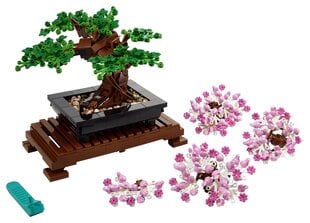 10281 LEGO® Icons Bonsai дерево цена и информация | Конструкторы и кубики | pigu.lt