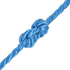 Susukta virvė, mėlyna, 100m, polipropilenas, 16mm цена и информация | Садовые инструменты | pigu.lt