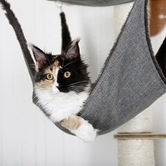 Kerbl Draskyklė katėms Dolomit 2.0 Tofana, montuojama prie sienos, pilka, 160cm kaina ir informacija | Draskyklės | pigu.lt