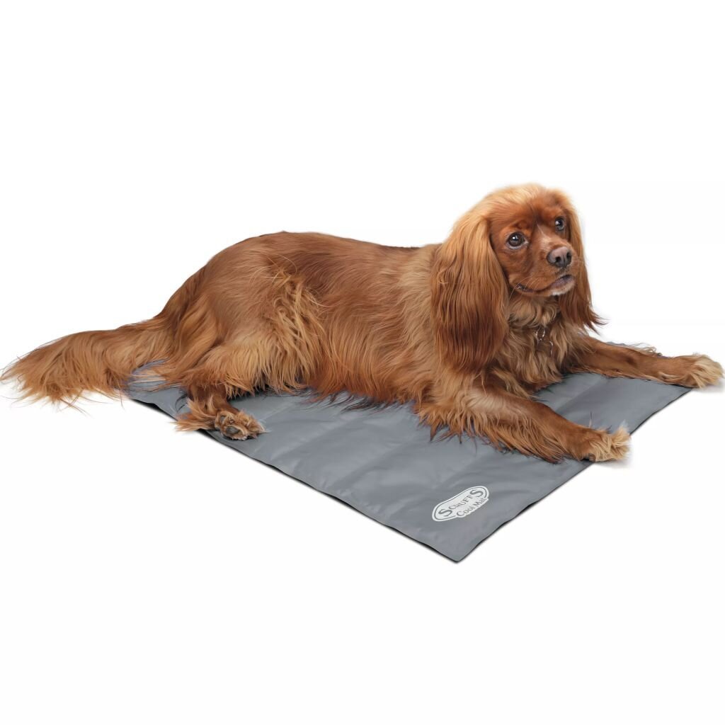 Warmako vėsinantis kilimėlis šuniui, M, pilkas kaina ir informacija | Guoliai, pagalvėlės | pigu.lt