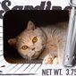 DISTRICT70 Draskyklė katėms/urvas SARDINE, balta kaina ir informacija | Draskyklės | pigu.lt