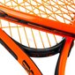 Greitojo badmintono rinkinys Spokey Spiky Oe kaina ir informacija | Badmintonas | pigu.lt