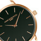 Laikrodis moterims Annie Rosewood 12A1-B14 цена и информация | Moteriški laikrodžiai | pigu.lt