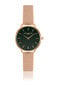 Laikrodis moterims Annie Rosewood 12A1-R14 цена и информация | Moteriški laikrodžiai | pigu.lt