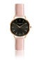 Laikrodis moterims Annie Rosewood 12B2-P18 kaina ir informacija | Moteriški laikrodžiai | pigu.lt