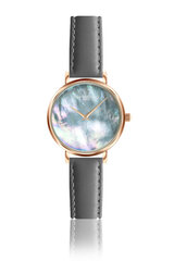 Laikrodis moterims Annie Rosewood 12C2-LG14 kaina ir informacija | Moteriški laikrodžiai | pigu.lt