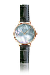 Laikrodis moterims Annie Rosewood 12C2-DG14C kaina ir informacija | Moteriški laikrodžiai | pigu.lt