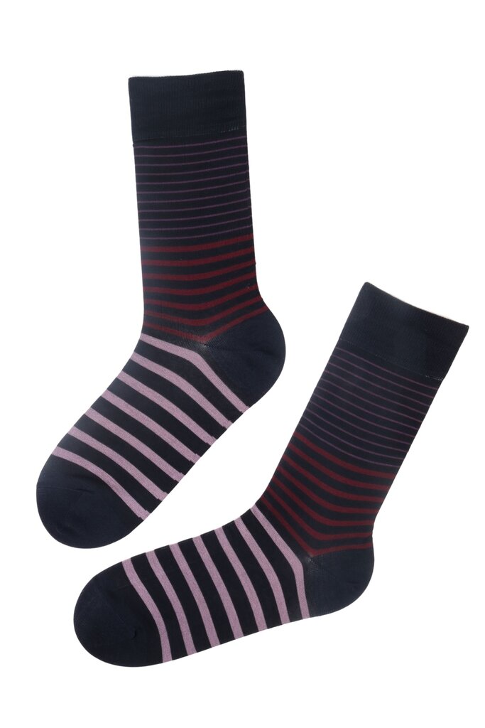 Stilingos medvilninės kojinės vyrams William, juodos su dryžiais kaina ir informacija | Vyriškos kojinės | pigu.lt