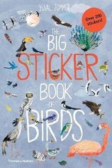 The Big Sticker Book of Birds kaina ir informacija | Knygos vaikams | pigu.lt