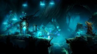 Ori and The Blind Forest, Nintendo Switch цена и информация | Компьютерные игры | pigu.lt