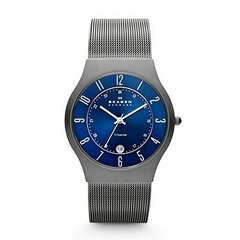 Vyriškas laikrodis Skagen 233XLTTN цена и информация | Мужские часы | pigu.lt