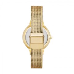 Женские часы Skagen SKW2150 цена и информация | Женские часы | pigu.lt