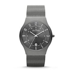 Vyriškas laikrodis Skagen 233XLTTM kaina ir informacija | Vyriški laikrodžiai | pigu.lt