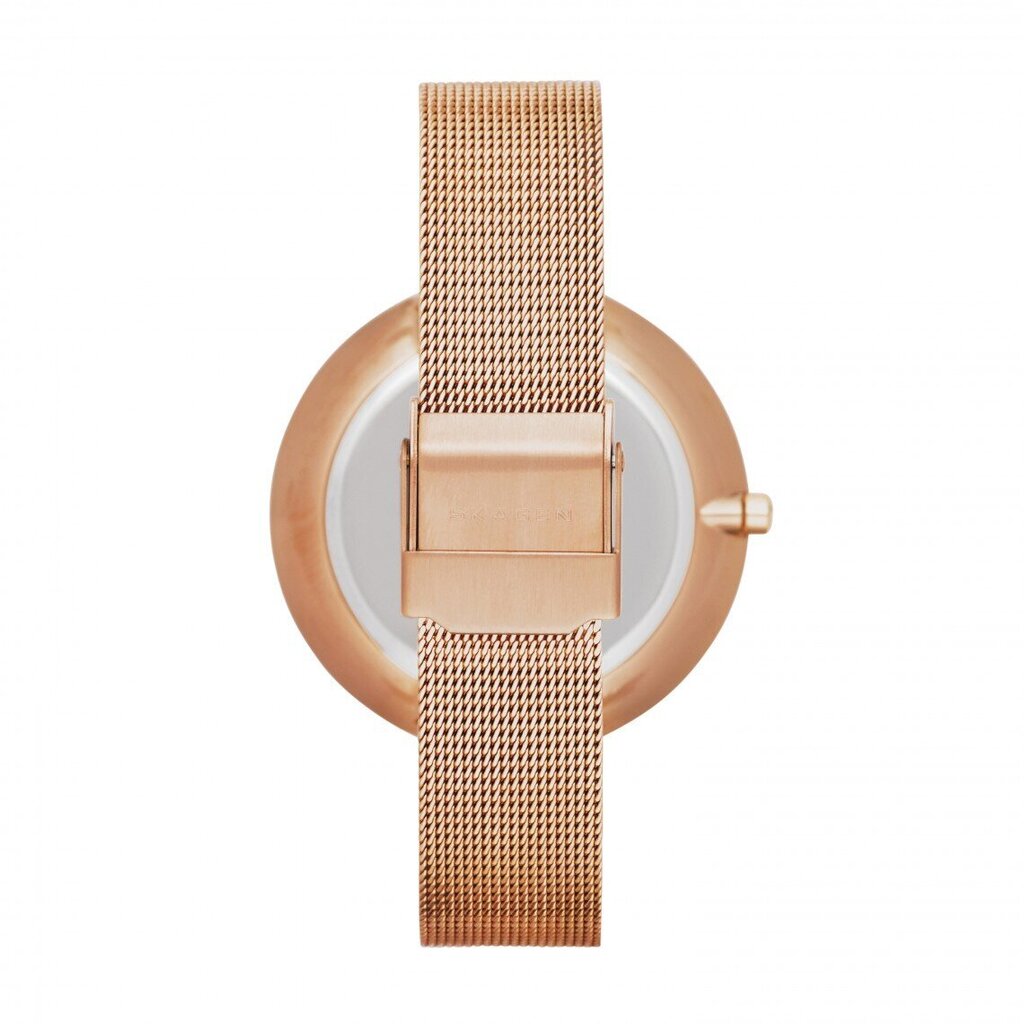 Moteriškas laikrodis Skagen SKW2142 kaina ir informacija | Moteriški laikrodžiai | pigu.lt