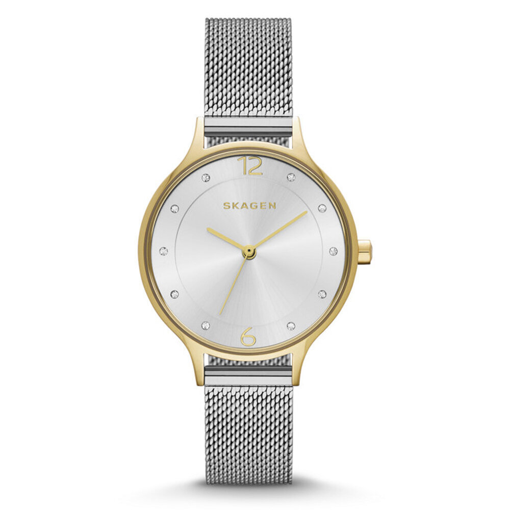 Laikrodis moterims Skagen SKW2340 цена и информация | Moteriški laikrodžiai | pigu.lt