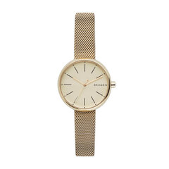 Moteriškas laikrodis Skagen SKW2614 kaina ir informacija | Moteriški laikrodžiai | pigu.lt
