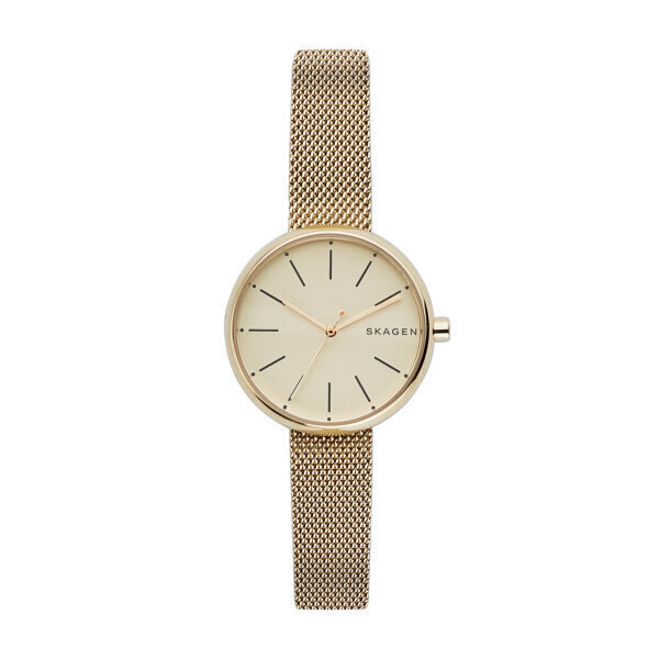 Moteriškas laikrodis Skagen SKW2614 цена и информация | Moteriški laikrodžiai | pigu.lt