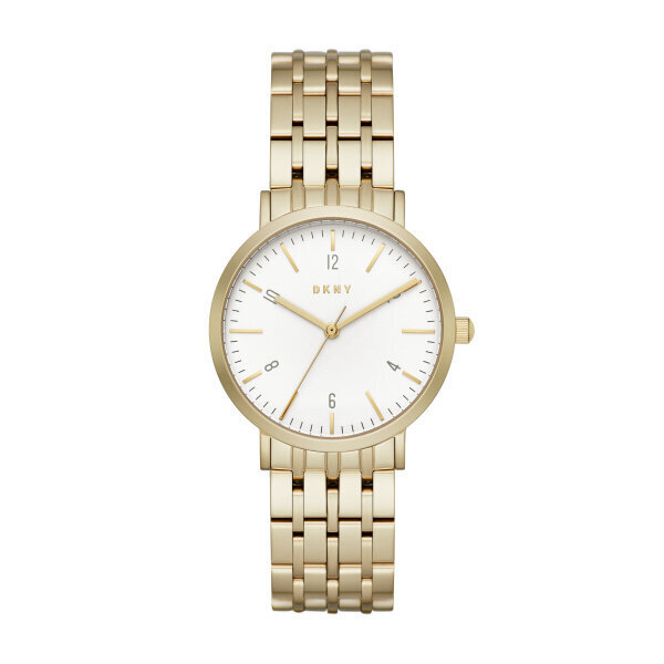 Moteriškas laikrodis DKNY NY2503 kaina ir informacija | Moteriški laikrodžiai | pigu.lt